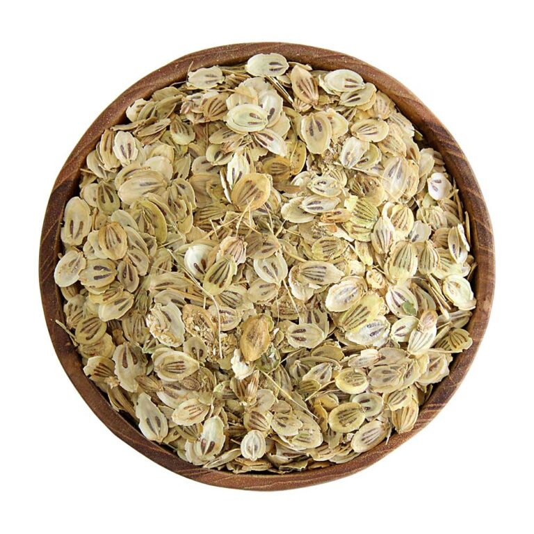 گلپر درشت