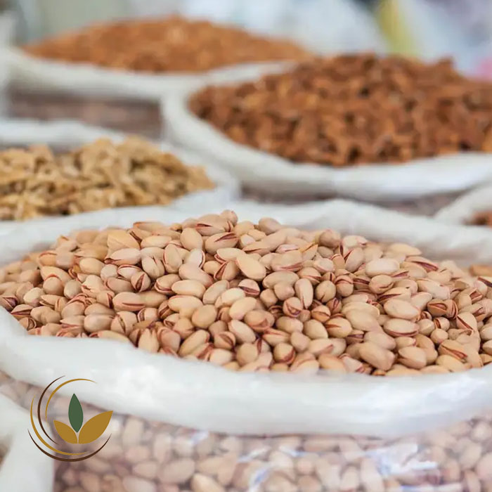 آجیل در فرهنگ ایرانی؛ راهنمای جامع آجیل و خشکبار