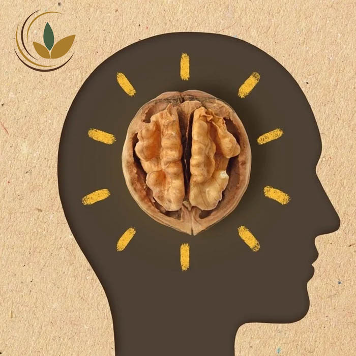 بررسی علمی رابطه گردو و افسردگی | کنترل استرس با گردو