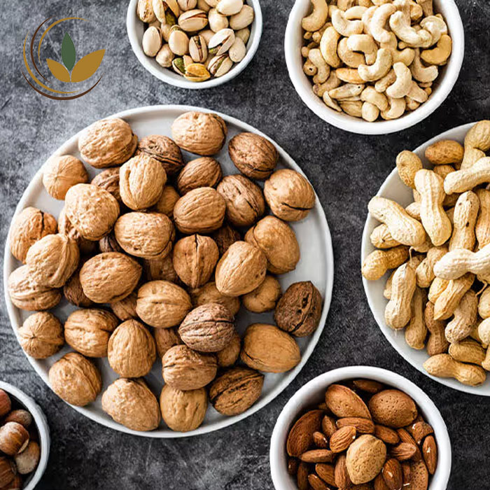 میزان پروتئین در انواع آجیل و انتخاب سالم‌ترین گزینه
