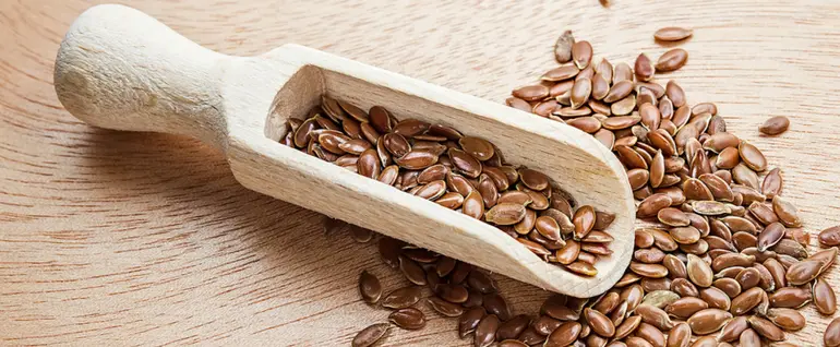 آجیل برای رژیم گیاهخواری - دانه کتان