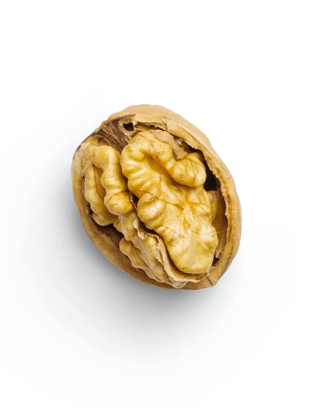 خواص گردو برای تیروئید