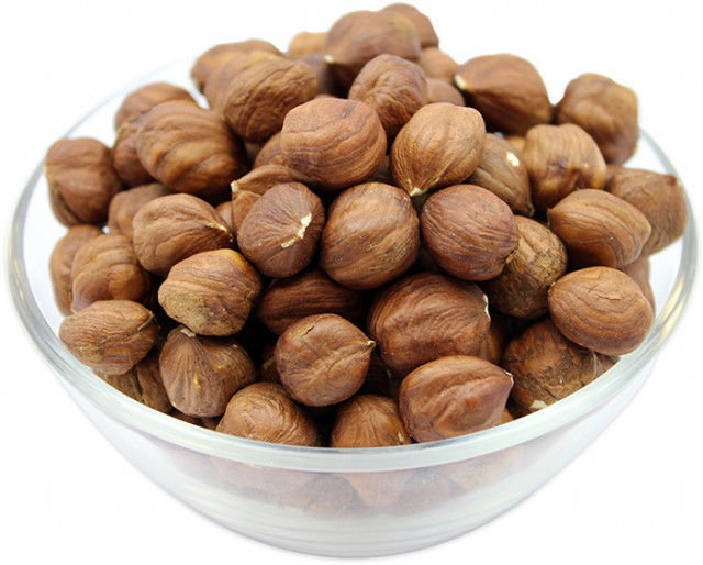 فندق ارگانیک