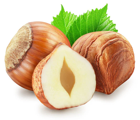 فندق اسپانیایی