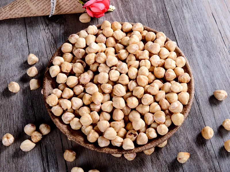 فندق رژیمی