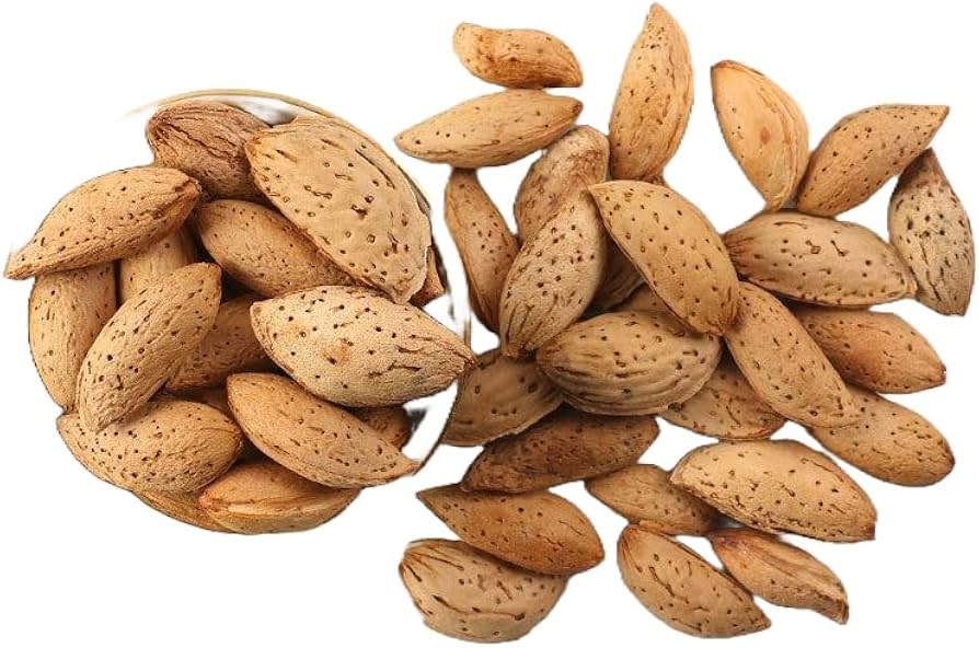 بادام منقا چیست و چه خواصی دارد؟