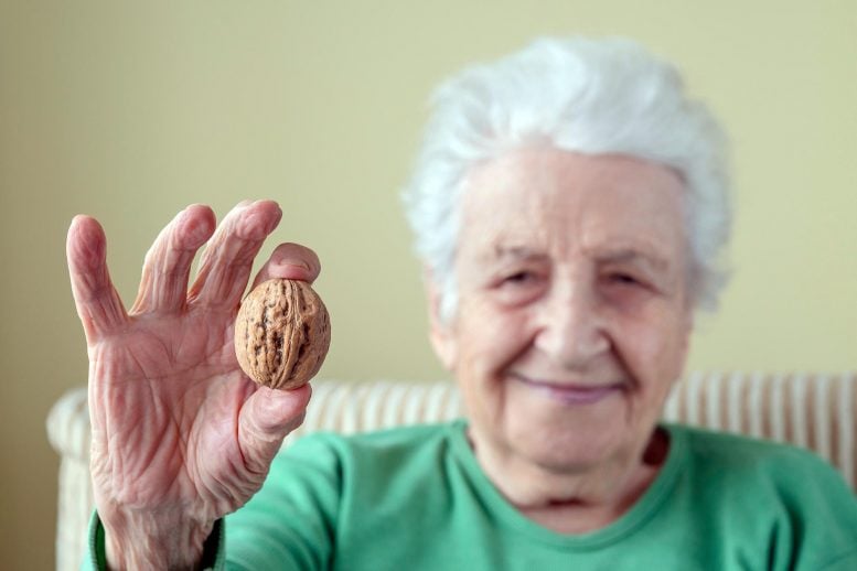 مصرف آجیل برای سالمندان