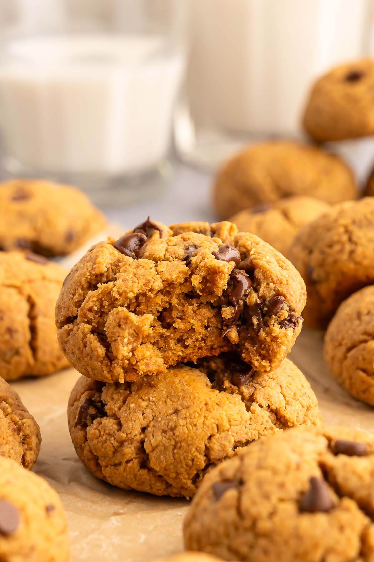 کوکی پروتئینی