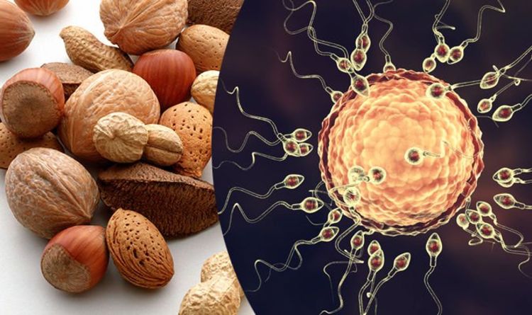 آجیل برای تقویت اسپرم