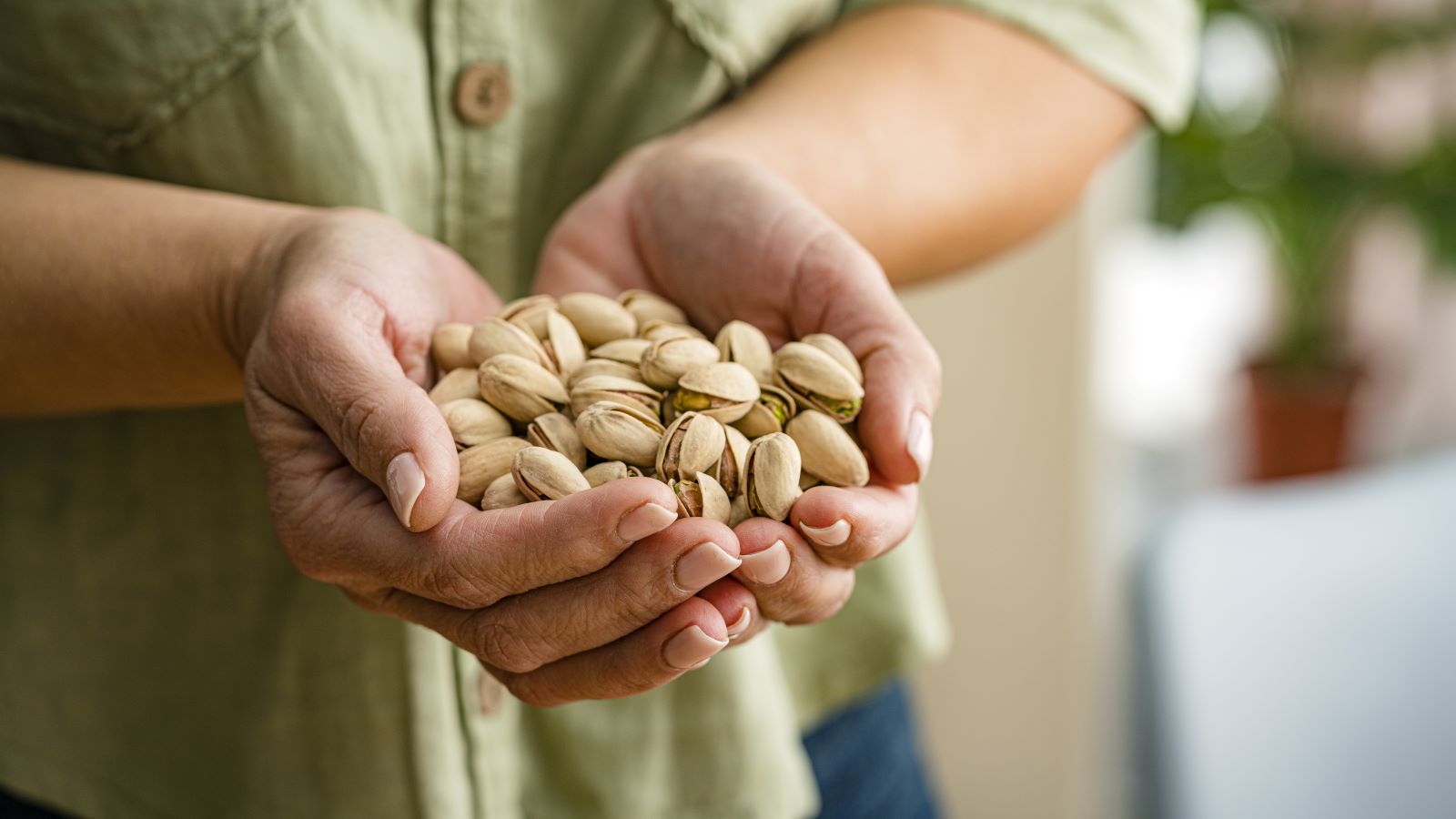 پسته به عنوان آجیل برای چربی خون